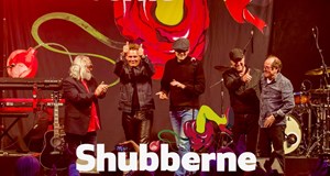Sommer Søndagskoncert på Nytorv med Shubberne